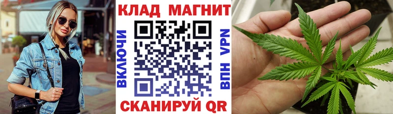 Магазины продажи наркотиков Каргополь Галлюциногенные грибы  Амфетамин  Мефедрон  Марихуана  Кокаин  Гашиш 