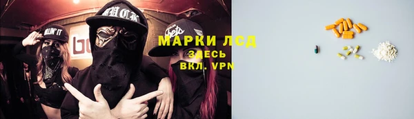 прущие грибы Абдулино