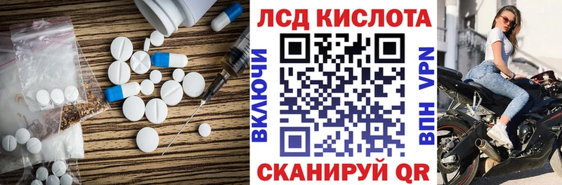 площадка наркотические препараты  Каргополь  LSD-25 экстази кислота 