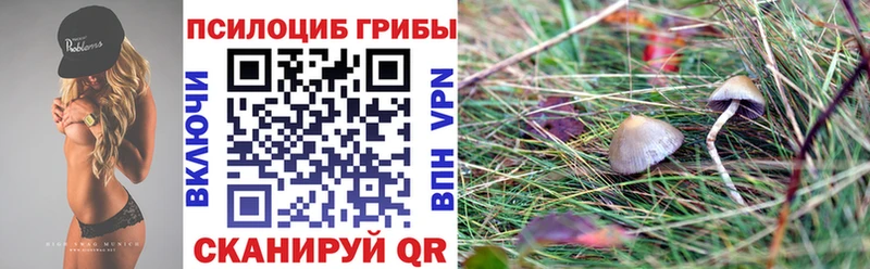 где найти   Каргополь  Псилоцибиновые грибы ЛСД 