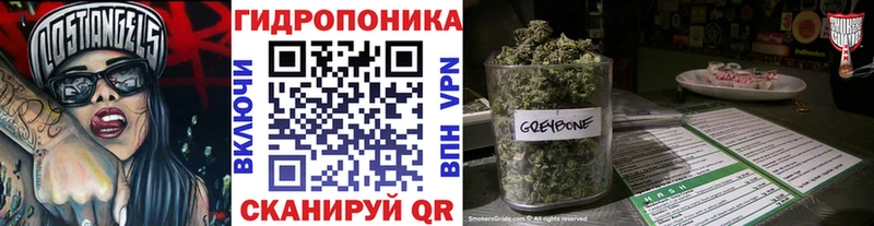Шишки марихуана сатива Каргополь