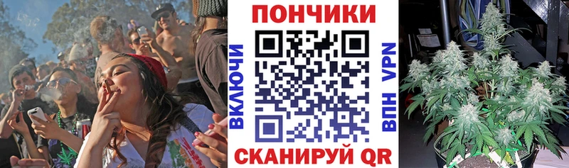 Канабис ГИДРОПОН  Каргополь 